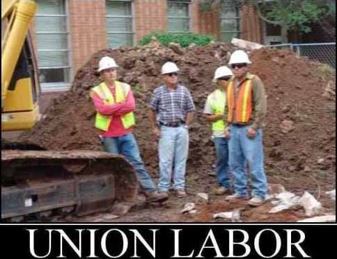 Private Sector Union Members